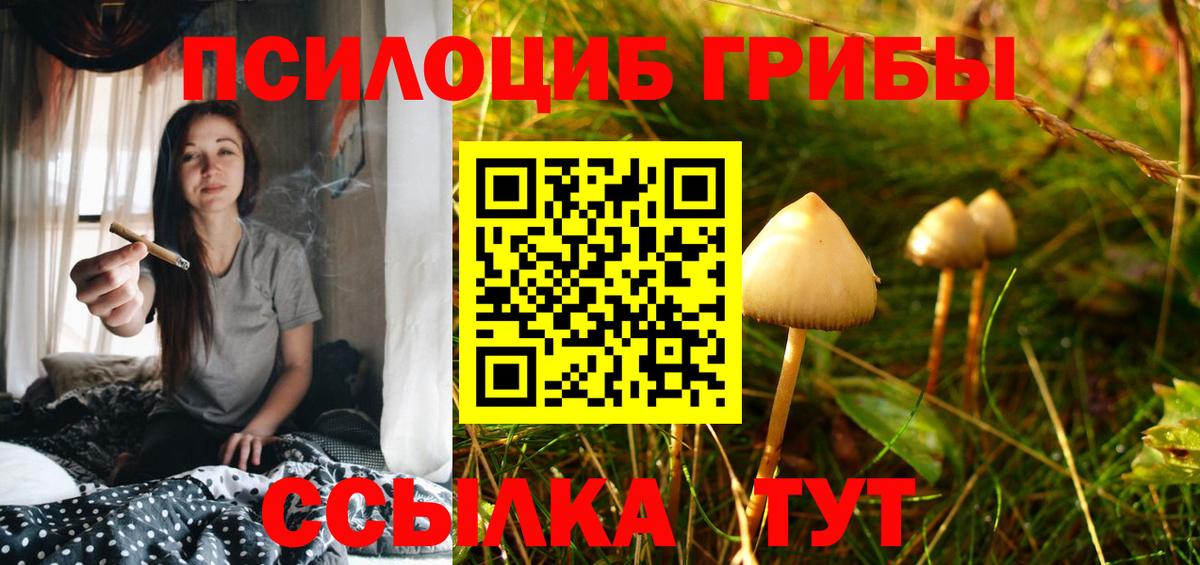 Псилоцибиновые грибы MAGIC MUSHROOMS Сарапул