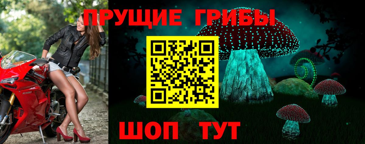 Сарапул  наркота  Галлюциногенные грибы Magic Shrooms  Вход с VPN  Галлюциногенные грибы мицелий 